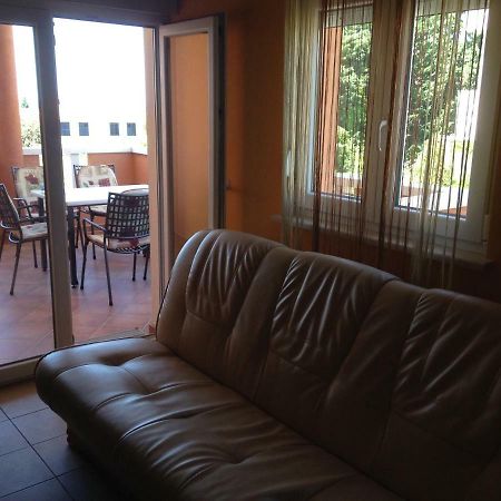 Novalja Zrce Apartment Dış mekan fotoğraf